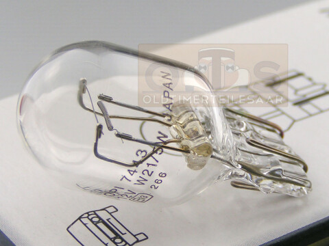 Glassockellampe 12V 5W, 2,20 €